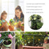 10 Pack Plant Support Plant Stakes, Metal Half Round Plant Support Ring Plastic Plant Cage Holder Flower Pot Climbing Trellis for Small Plant Flow...