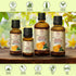 Orange Essential Oil 1.7 Fl Oz - Citrus Sinensis - Brasil - 100% Pure & Natural - Bathing - Body Care - Beauty - Cosmetics - Relaxation - Massage ...