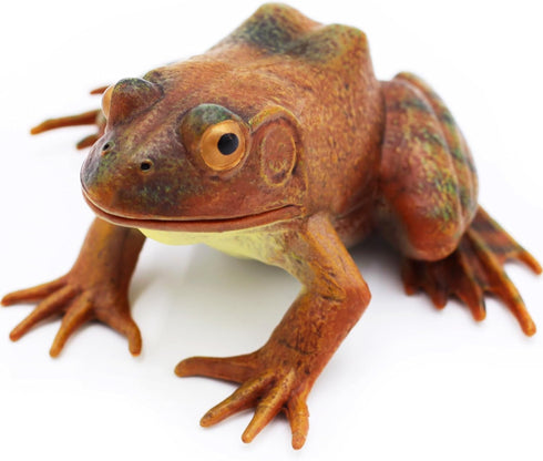 Gemini&Genius Tree Frog Realistic Hand Painted Toy for Backyear Decor, Carnival Game. Bullfrog Figurine Plastic Frogs Rubber Animal Toys for Educa...