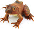 Gemini&Genius Tree Frog Realistic Hand Painted Toy for Backyear Decor, Carnival Game. Bullfrog Figurine Plastic Frogs Rubber Animal Toys for Educa...