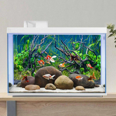 AWERT 72x24 inches Tropical Fish Tank Background River Bed & Lake Aquatic Plant Undersea Tree Branch Aquarium Background Vinyl...