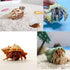 13 Pack Hermit Crab Shells with 2 Pack Food Water Bowl Growth Turbo Seashell Supplies Accessory...