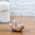 Elanze Designs Striped Tabby Cat and Kitten Magical Whimsical Tabletop Dresser Nightstand Figurine Miniature 45MM Sturdy Polyresin Glitter Water S...