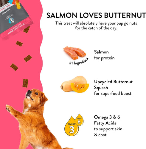 Shameless Pets Jerky Dog Treats, Salmon Loves Butternut - Healthy Dog Chews for Dogs Skin & Coat with Omega 3 & 6 - Dog Treats with Real Wild-Caug...