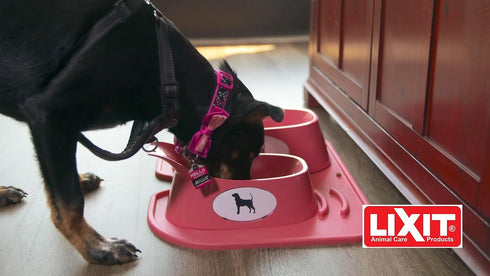 Lixit Ergonomic Bowls for Dogs with Long Ears (Grey, Large)...