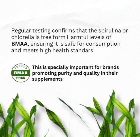 Chlorella Spirulina Powder Capsules Organic 3000 mg of BMAA Free Purest Blue Green Algae - Best Natural Detox Raw Vegan Vitamins Protein Green Sup...