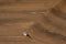 d-c-fix Peel and Stick Contact Paper Flagstaff Oak Wood Grain Self-Adhesive Film Waterproof & Removable Wallpaper Decorative Vinyl for Kitchen, Co...