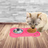 AsFrost Dog Food Bowls Stainless Steel Pet Bowls & Dog Water Bowls & Cat Bowls for Food and Water No-Spill Non-Skid Silicone Mat, Feeding Bowls wi...