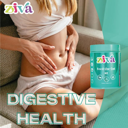 ZIVA Gummies - Feed The Gut Probiotics - Digestive Health Gummies - Probiotics for Adults, Women, and Men - 60 Gummies...