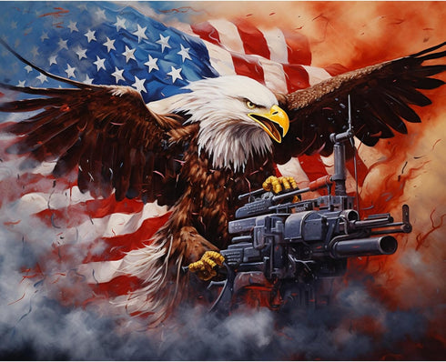 Tucocoo Eagle Bird Paint by Numbers Patriotic 4th of July DIY Oil Painting Kit Canvas Pictures Drawing Paintwork Paintbrushes Acrylic Pigment Begi...