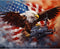 Tucocoo Eagle Bird Paint by Numbers Patriotic 4th of July DIY Oil Painting Kit Canvas Pictures Drawing Paintwork Paintbrushes Acrylic Pigment Begi...
