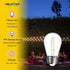 Jslinter S14 LED Bulbs, 25-Pack, 1W Energy-Efficient Outdoor String Lights, 2700K Warm White, Durable & Waterproof, E26 Base, Edison Vintage Ambia...