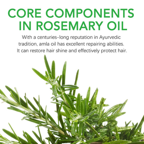 Organic Rosemary Hair Oil Capsules 40 PCS, Rosemary & Argan & Avocado Hair Growth Oil for Frizz Dry&Damaged Hair, Deep Moisturizing Hair Heat Prot...