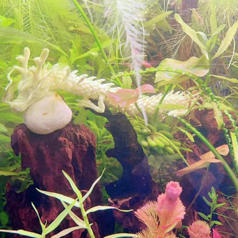 Chinese Dragon Fish Tank Decor Exotic Environments Aquarium Ornament Resin Oriental Loong for Micro Landscape Aquarium Decoration (White)...