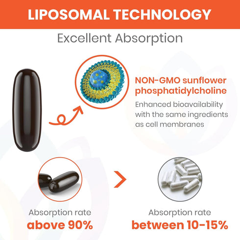 1500mg Fisetin Supplements - Powerful Absorption with Liposomal Delivery,98% Pure Fisetin,Polyphenol Antioxidant for Healthy Aging,Non-GMO - 1 Bot...