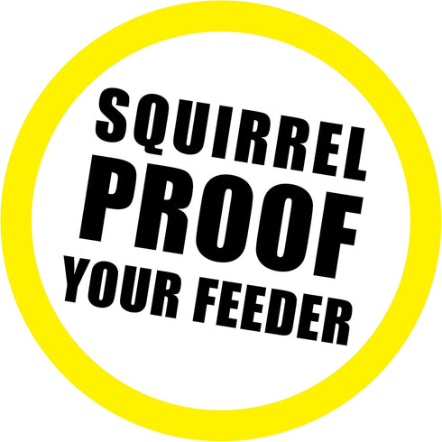 Just Play Scram, Squirrel by Slinky, Squirrel-Proof Bird Feeder Accessory that Guards Bird Seed, Kids Toys for Ages 5 Up by Just Play...