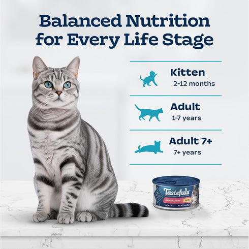 Blue Buffalo Tastefuls Natural Wet Cat Food Cans, Paté Style, Salmon Entrée 3-oz Cans (Pack of 4)...