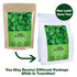 FullChea - 100% Pure Natural Dried Mugwort Herb Loose Leaf - 4oz/114g - Superior Dried Mugwort Tea - Sulfur-free - Non-GMO - Caffeine-free - Help ...