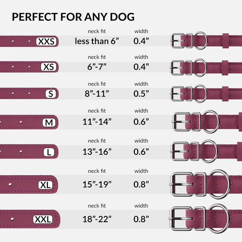 CollarDirect Rolled Leather Dog Collar, Soft Padded Round Puppy Collar, Handmade Genuine Leather Collar Dog Small Large Cat Collars 13 Colors (8-1...