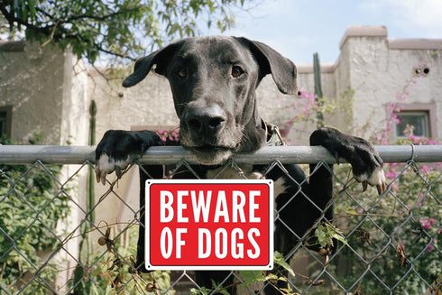 Beware of Dog Sign, Metal Warning the Dogs Signs for Fence Gate, 2 Pack 10 x 7 inches, for Indoor and Outdoor Use, No Fade Aluminum Weatherproof L...