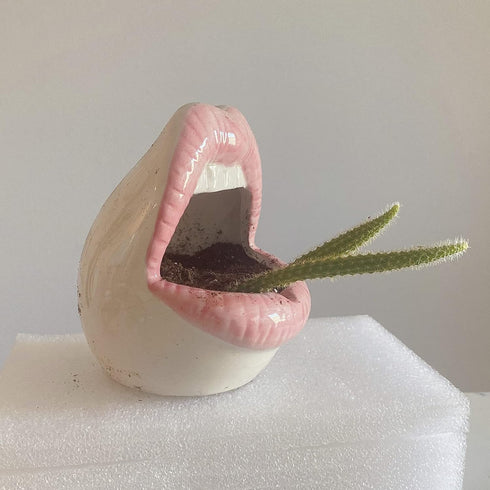 lemonadeus Multi-role Ceramic Sexy Lips Planter Stylish Lip Pot/Gadget Storage Mouth Planter Unique Ash Tray Ceramic Container (Pink)...