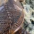 6-Inches Imitative Wood Carving Sea Turtle Statue Resin Hawaiian Turtles Sculpture Garden Tortoise Figurine for Home Decoration Outdoor Patio Lawn...