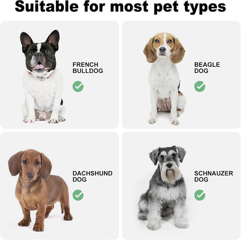 Coomazy Slow Feeder Dog Bowls Specially Designed for Small Breed Dogs French Bulldogs, Beagle, Dachshund, Schnauzer, Grey...