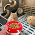 Ipetboom Ceramic Bowl Mushroom Kitten Food Bowl Guinea Pig Bowl Ceramics Water Bowl Feeding Tray Porcelain Nest for Rabbit Guinea Pig Hedgehog Squ...