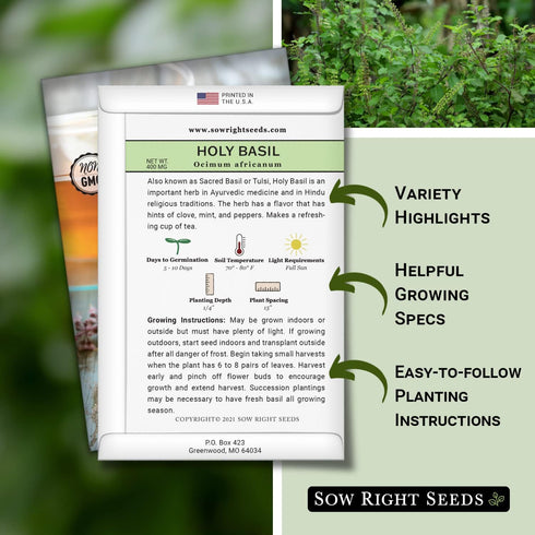 Sow Right Seeds - Holy Basil Tulsi Seed for Planting - Culinary Herb to Plant in Your Garden - Indoors or Outdoors - Ayurvedic Medicine and Tea - ...