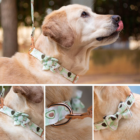 Dog Collar and Leash Set with Flower Bow Tie Girls Dog Collar Dog Tag Metal Buckle Adjustable for Small Medium Large Dogs Avocado-XS...