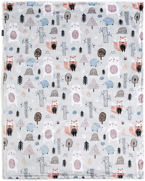 Baby Blanket for Boys Girls Super Soft Blanket,Fluffy Warm Lightweight Baby Receiving Blankets,Double Layer with Dotted Backing for Toddler Nurser...
