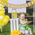 Jute Burlap Lemonade Banner Rustic Summer Lemon Stand Party Mantel Fireplace Decoration...
