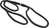 Dog Show Lead Braided Tubular Nylon 52" Long (Medium: diam 5/16"(8mm), Black)...
