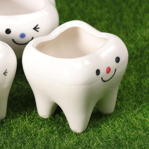 Ceramic Planter Ceramic Planter 2pcs Ceramic Tooth Planter Mini Porcelain Succulents Flower Pot Cute Pen Pencil Holder for Office Home Desk Decor ...