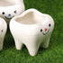 Ceramic Planter Ceramic Planter 2pcs Ceramic Tooth Planter Mini Porcelain Succulents Flower Pot Cute Pen Pencil Holder for Office Home Desk Decor ...