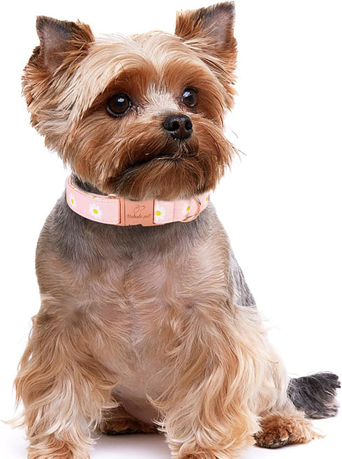 Cotton Dog Collar for Small Dogs Adjustable Cute Boy Girl Dog Collars with Metal Buckle Baby Pink Daisy Dogs Collar S...