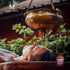 Gandhi Root Essential Oil, 100% Pure Sugandh Mantri Oil, Steam Distilled from Homalomena Aromatica - Sweet & Woody Scent w/Earthy Overtones - Ther...