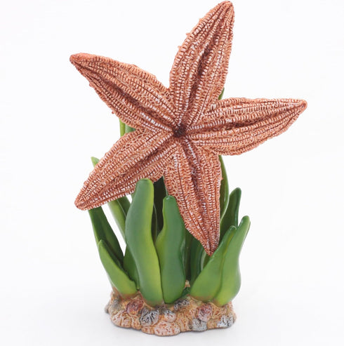 Gemini&Genius Starfish Toys for Kids, Realistic Starfish Action Figure, Starfish Figurine Toy, Under The Sea Life Figure Educational Gifts, Displa...