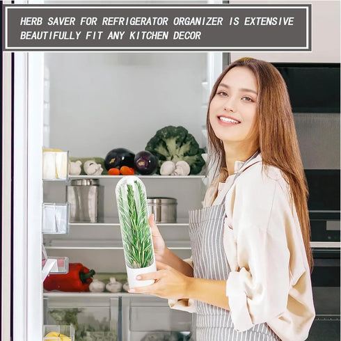 Herb Saver, Herb Keeper for Refrigerator, Cilantro Containers for Refrigerator, Herb Saver Pod, Fresh Herb Keeper for Cilantro, Parsley, Asparagus...