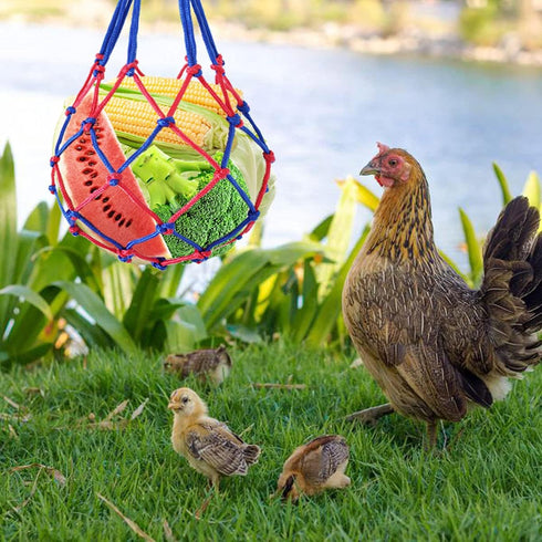 Chicken Veggies Skewer Fruit Holder with Hook for Hens, Chicken Foraging Toys for Hens?Hanging Feeder Toy for Hens, Hen Toys for Chickens, Duck, L...