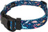 Country Brook Petz - Deluxe Dinosaurs Dog Collar - Made in The U.S.A. - Critter Corner Collection featuring Creature Themed Designs (1 Inch, Large...