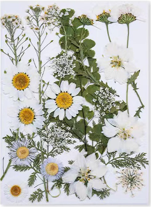 Dried Pressed Flowers for Resin, Real Pressed Flowers Dry Leaves Bulk Natural Herbs Kit for Scrapbooking DIY Art Crafts, Nails Décor, Epoxy Resin ...