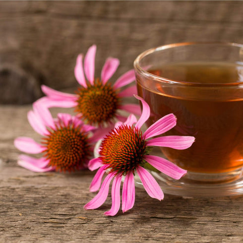 Valdena Bio Organic Echinacea Rosehip Herbal Tea Infusion (Pack of 3, total of 60 individually wrapped Tea Bags) Immunity boost, Immune support, W...