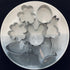 LUBTOSMN Shamrock Easter Cookie Cutter Set-3 Inches-7 Piece-Shamrock, Egg, Bunny, Carrot, Flower, Butterfly, Bunny Face, Easter Cutter Fondant Mol...