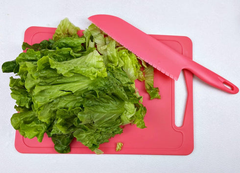 11" Professional Plastic Lettuce Knife with Serrated Edges for Cutting Salad Fruit Cake Bread Brownie Lasagna or Various Veggies, Pizza Cutter, Ny...