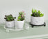 Clear Acrylic Riser for Displays, 7 Inch Round Pedestal Stand for Kitchen & Bathroom Counter Décor, Modern Plant Stand for Indoor Flower Pot Riser...