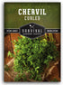 Curled Chervil Seed for Planting - 1 Herb Seed Packet with Instructions to Plant & Grow Aromatic French Herbs in Your Home Herb Garden - Non-GMO H...