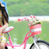RoyalBaby Kids Bike Basket Girls Boys Cute Bicycle Basket Toddler Bike Basket Tricycle Basket Kids Front Bike Accessory Pink ?M? 9.8" x 7.9" x 6.1...