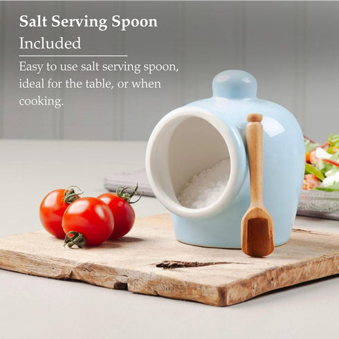 Wm Bartleet & Sons Traditional Porcelain Small Salt Pig with Wooden Salt Serving Spoon - Blue...