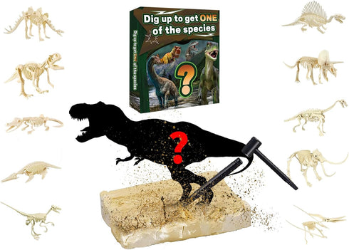 Dinosaur Fossil Digging Toy, Dig Up to Get ONE Dinosaur Skeleton, Archaeology Fossil Explore Science Education Toy, Cultivating Hand-On Skills and...